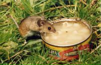 Фотография Натусик Наталии