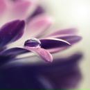 Фотография Цукановой Марии