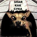 Радіон Синицький фотография #18 (источник - https://vk.com/id60458846)