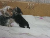 Фотография Потаповой Екатерины