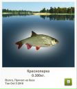 Сергій Брусяк фотография #48 (источник - https://vk.com/id58153311)