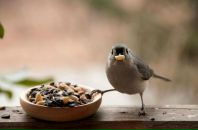 Фотография Суедовой Кати