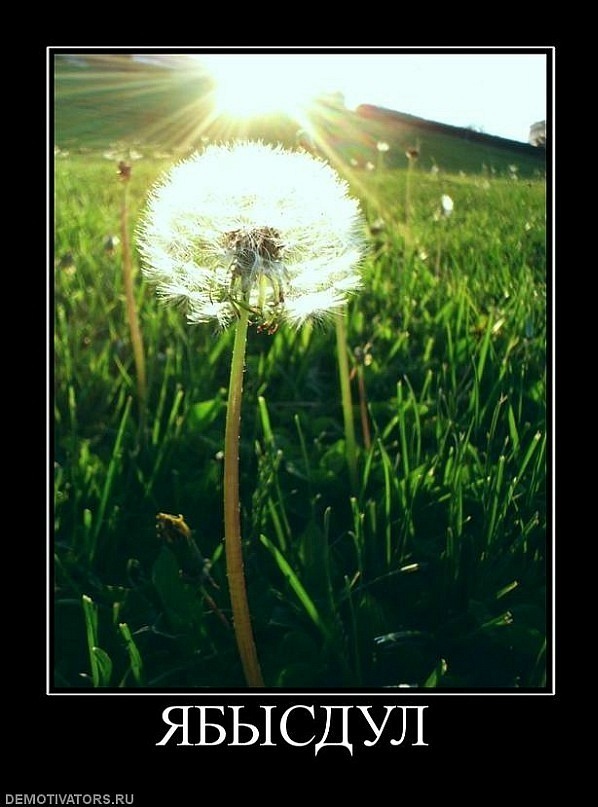 Димитрий Щербаков фотография #30