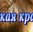 Надія Кобльовська фотография #14 (источник - https://vk.com/id150836180)