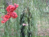 Фотография Селецкой Ольги