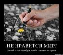 Фотография Самигуллина Марата