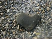 Фотография Третьякова Андрея