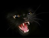 Фотография Кузнецовой Ольги