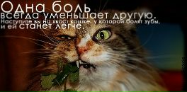 Фотография Пашковой Анны