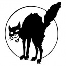 Фотография Пучкова Дарья