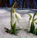 Наталія Довгань фотография #18 (источник - https://vk.com/id73216309)