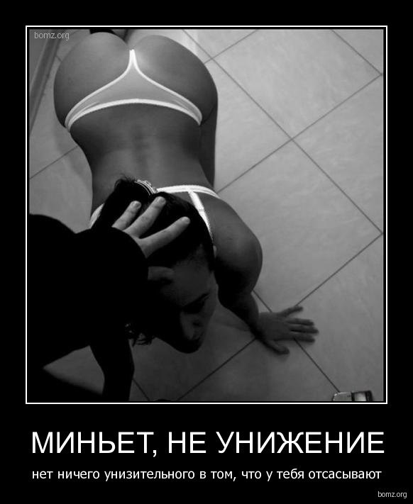 Kirich Pro фотография #15