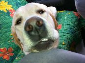 Фотография Тете Иры