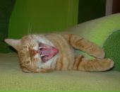 Фотография Кузнецовой Людмилы