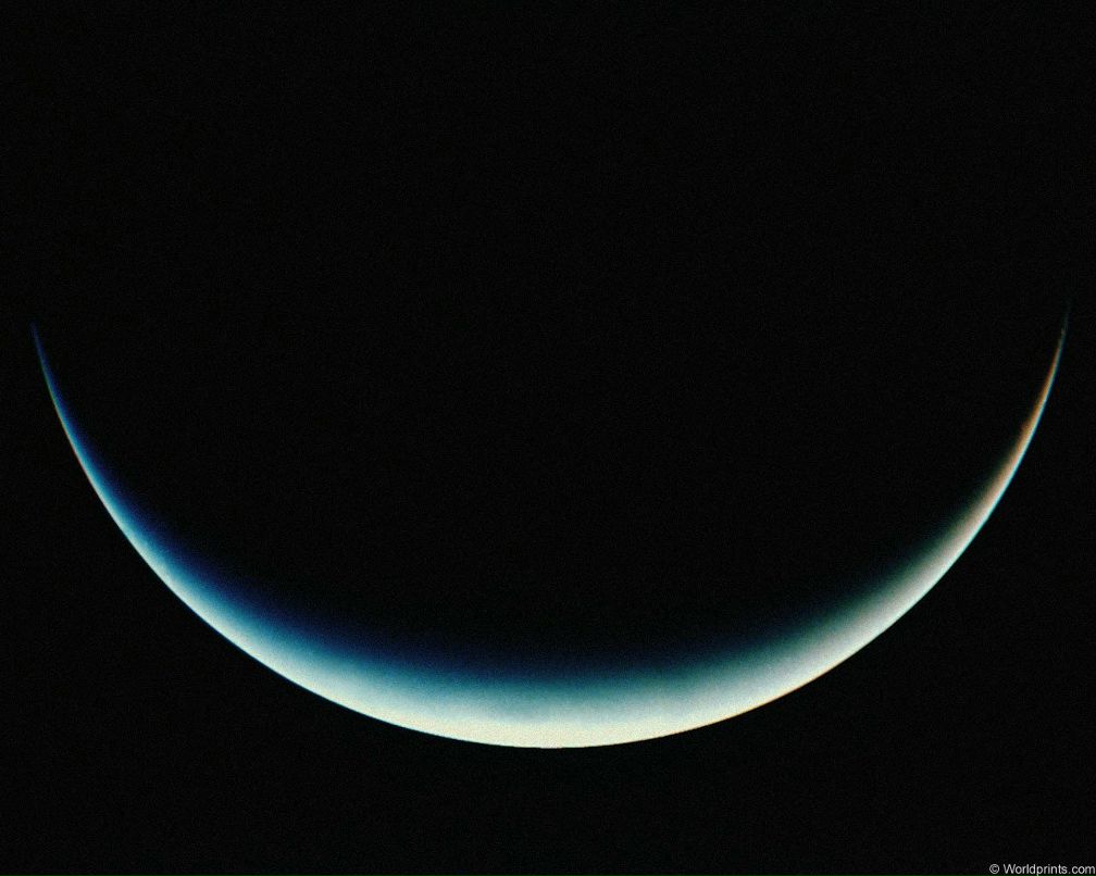 Los Guevavi фотография #11