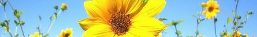 Сергій Націоналіст фотография #24 (источник - https://vk.com/id97601081)