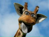 Дима Иванов фотография #48 (источник - https://vk.com/id99004515)