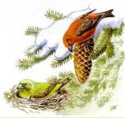 Фотография Кравченко Ильи