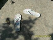 Фотография Плотниковой Виктории