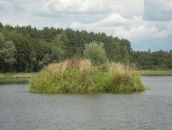 Иван Иванов фотография #17 (источник - https://vk.com/id448706)