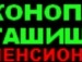 Валера Бігуняк фотография #29 (источник - https://vk.com/id142653698)