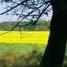 Руслан Білецький фотография #16 (источник - https://vk.com/id21558639)