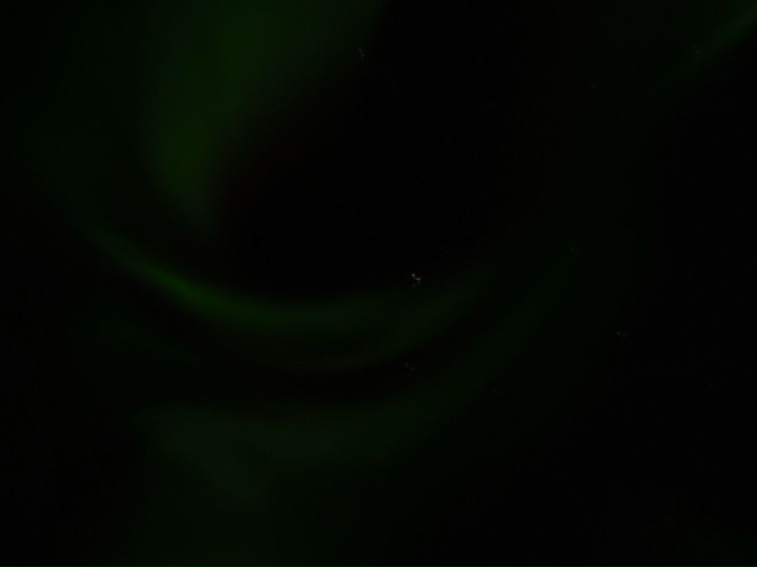 Tanja Heike фотография #30