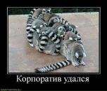 Игорь Калашников фотография #25 (источник - https://vk.com/id960434)