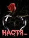 Анастасія Карнаух фотография #11 (источник - https://vk.com/id151588863)
