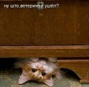 Фотография Гордеевой Анюты