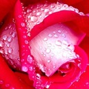 Фотография Орловой Натальи