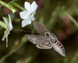 Фотография Тихонова Сергея