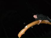 Фотография Паташюса Вити