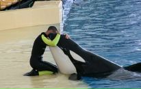 Фотография Воробьева Ярослава