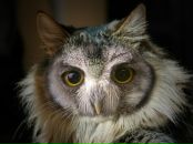 Илья Плешаков фотография #35 (источник - https://vk.com/id649676)