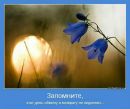 Діана Пинчук фотография #7 (источник - https://vk.com/id82755122)