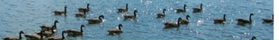 Анастасия Верес фотография #27 (источник - https://vk.com/id42695295)