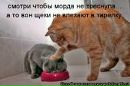 Аделіна Владімова фотография #13 (источник - https://vk.com/id143075784)