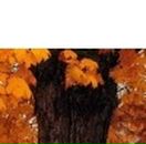 Катруся Полівода фотография #23 (источник - https://vk.com/id99062216)