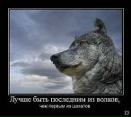 Юрій Нестолій фотография #48 (источник - https://vk.com/id20604407)