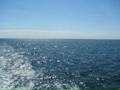 Сергій Кравцов фотография #26 (источник - https://vk.com/id60631899)