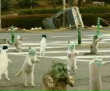 Андрій Воскобойніков фотография #32 (источник - https://vk.com/id75331092)