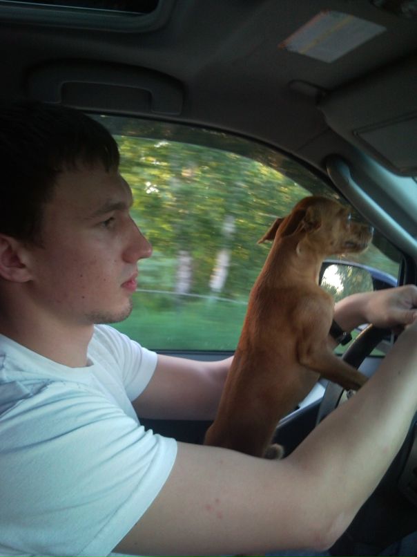 Антон Павличенко фотография #19