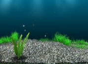 Віталік Бідочко фотография #18 (источник - https://vk.com/id103179026)