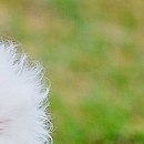 Ірина Мисюк фотография #47 (источник - https://vk.com/id105920111)