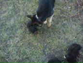 Михайло Пілавка фотография #7 (источник - https://vk.com/id30149017)