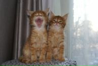 Фотография Савичевой Фатимы