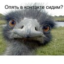 Іван Григоришин фотография #7 (источник - https://vk.com/id153669187)