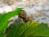 Юрій Коваленко фотография #35 (источник - https://vk.com/id8845220)