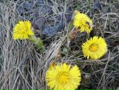 Фотография Соловейчик Ирины